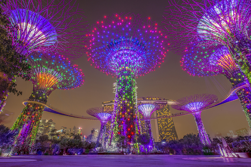 Top 10 Best Free Things To Do In Singapore At Night
